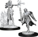 D&D: Nolzur's Marvelous Miniatures - Multiclass Warlock + Sorcerer Female - for just $5.99! 