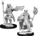 D&D: Nolzur's Marvelous Miniatures - Multiclass Cleric + Wizard Male - for just $5.99! 