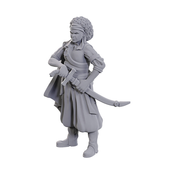 D&D Nolzur's Marvelous Miniatures: Ansalon Human Rogue - for just $4.99! 