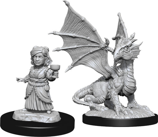 D&D: Nolzur's Marvelous Miniatures - Silver Dragon Wyrmling & Female Halfling - for just $5.99! 