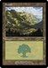 Forest (CMM-449) - Commander Masters - for just $0.09! 