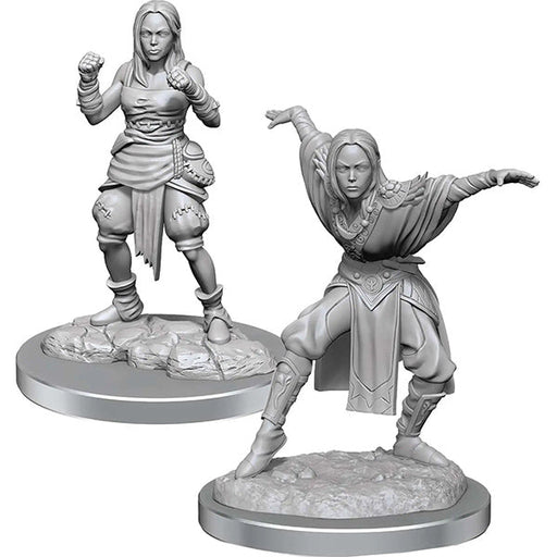 Pathfinder Battles Deep Cuts Minis: Half-Elf Monk Females Wave 21 - for just $5.99! 