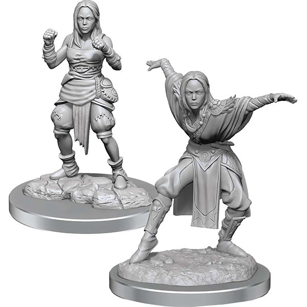 Pathfinder Battles Deep Cuts Minis: Half-Elf Monk Females Wave 21 - for just $5.99! 