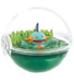 Re-Ment: Pokemon Terrarium Collection 12 Blind Box - for just $19.99! 