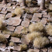Gamers Grass Tufts: Winter XL - 12mm - Wild XL - for just $9.99! 