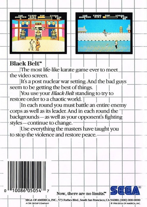 Black Belt – Sega Master System (SMS) - for just $9.99! 