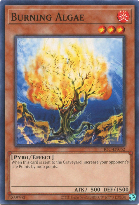 Burning Algae (25th Anniversary) [IOC-EN062] Common - for just $0.10! 