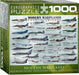 Puzzle: Sea & Land Transportation - Modern Warplanes - for just $19.99! 