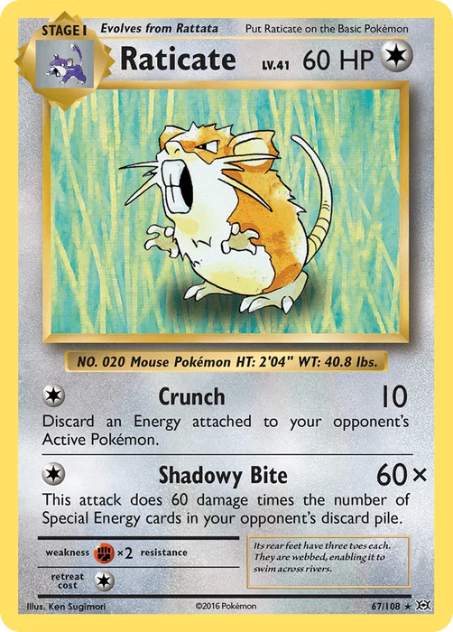 Raticate (67/108) [XY: Evolutions] - for just $0.10! 