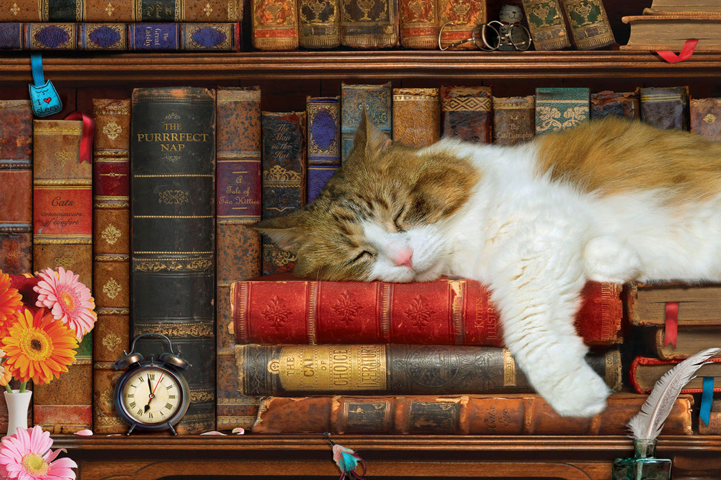 Puzzle: Cat Nap Tin - for just $23.99! 