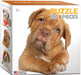 Puzzle: Mini Puzzle Collection - Puppy - for just $4.99! 