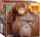 Puzzle: Mini Puzzle Collection - Orangutan & Baby - for just $4.99! 