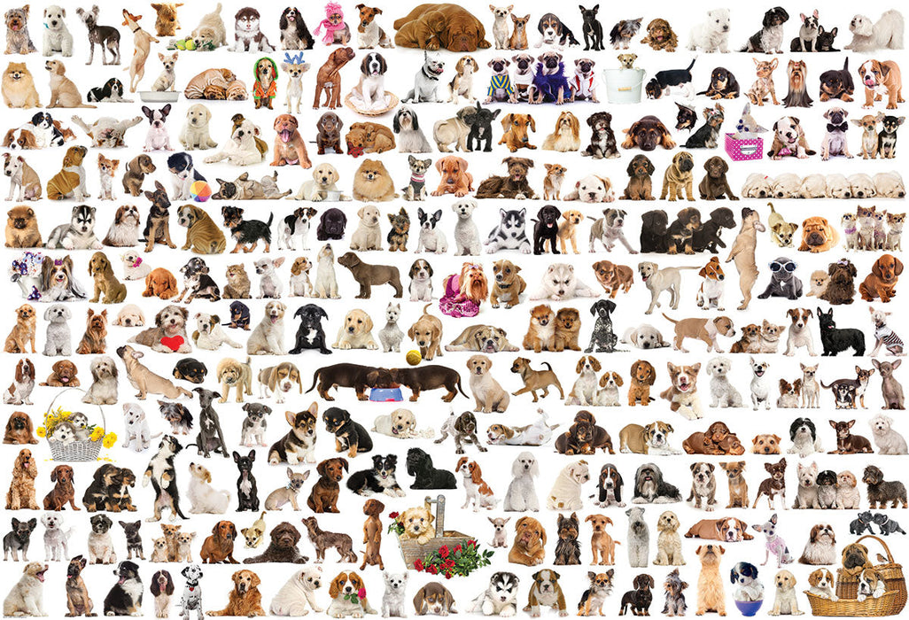Puzzle: The BIG Puzzle Collection - The World of Dogs - for just $34.99! 