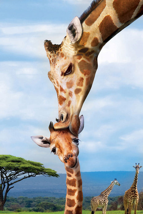 Puzzle: Save Our Planet Puzzles - Giraffes - for just $10.99! 