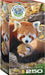 Puzzle: Save Our Planet Puzzles - Red Pandas - for just $11.99! 