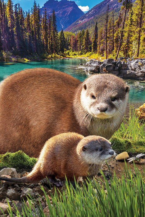 Puzzle: Save Our Planet Puzzles - Otters - for just $11.99! 