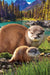 Puzzle: Save Our Planet Puzzles - Otters - for just $11.99! 