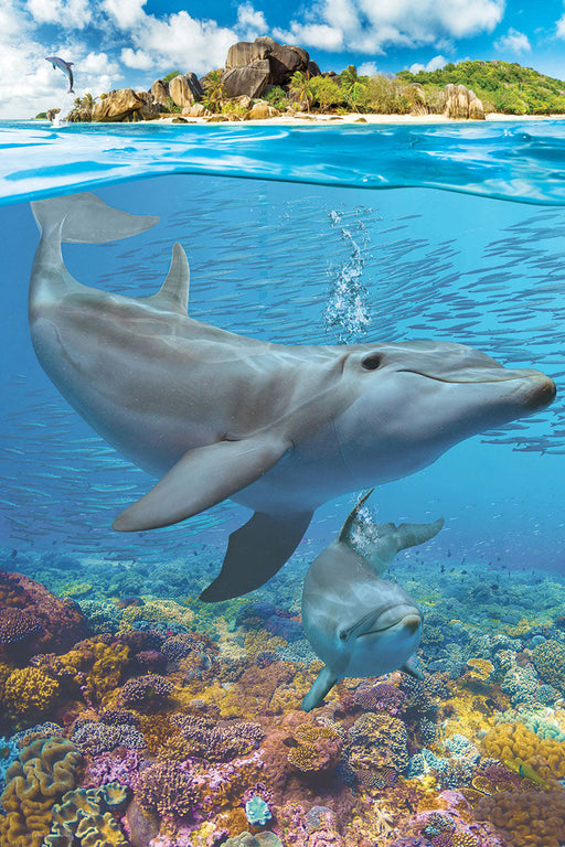 Puzzle: Save Our Planet Puzzles - Dolphins - for just $9.99! 