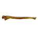 Realistic Ulna Bone Lightweight Rigid Foam - Clean - for just $30! 