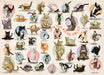 Puzzle: Yoga Dogs & Cats Collection - Yoga Kittens - for just $16.99! 