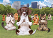 Puzzle: Yoga Dogs & Cats Collection - Yoga Park - for just $16.99! 