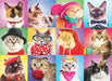 Family Oversize Puzzles - Silly Cats - for just $16.99! 