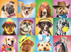 Family Oversize Puzzles - Silly Dogs - for just $16.99! 