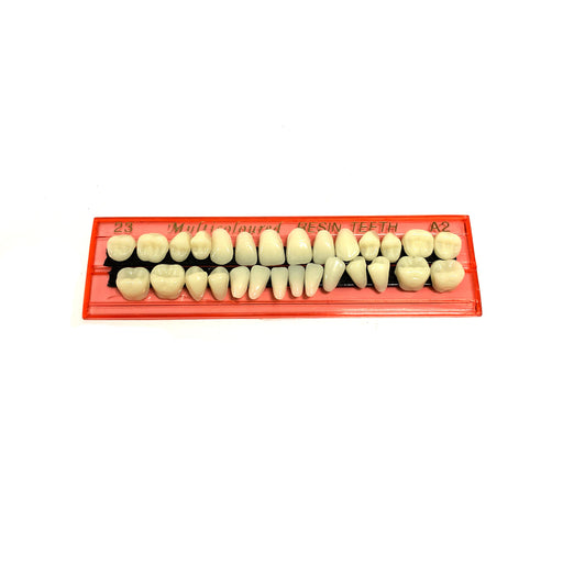 Professional Grade Fake Resin Teeth Set - 28 Pieces - for just $13! 