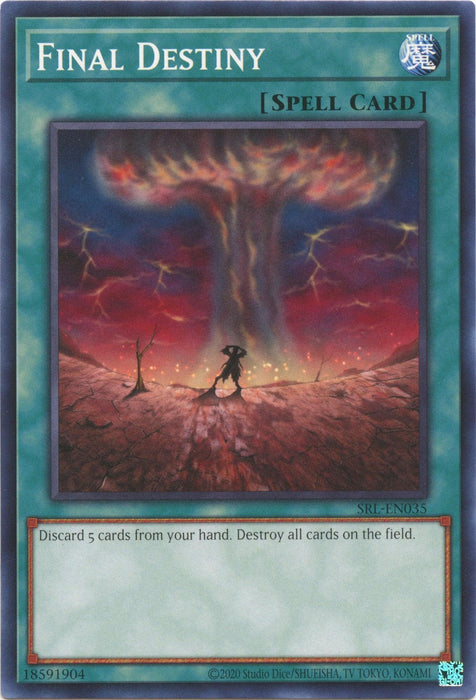 Final Destiny (25th Anniversary) [SRL-EN035] Common - for just $0.10! 