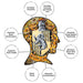 Aquarius Puzzles: Harry Potter Hufflepuff - for just $15.99! 