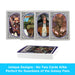 Aquarius Playing Cards: Marvel - Guardians of the Galaxy - for just $6.99! 