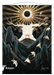 Ultra PRO: Wall Scroll - Japanese Mystical Archive (Approach of the Second Sun) - for just $0! 