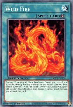 Wild Fire [SGX1-ENH16] Common - for just $0.10! 