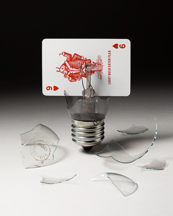 Flea Circus Playing Cards - for just $17.99! 
