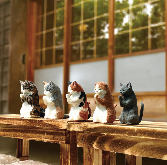 WISHING CATS BLIND BOX (1 Blind Box) - for just $9.99! 