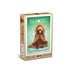 EuroGraphics Playing Cards: Yoga Dogs - for just $9.99! 