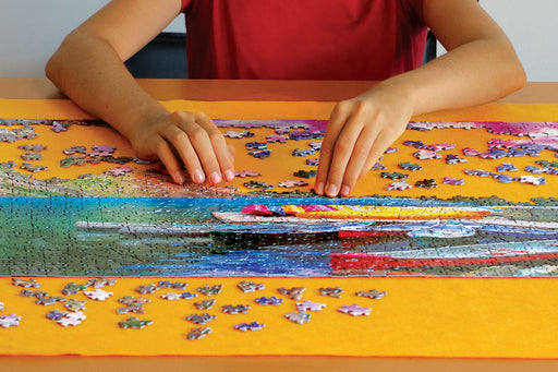 Smart Puzzle: Smart Puzzle Roll & Go - for just $23.99! 