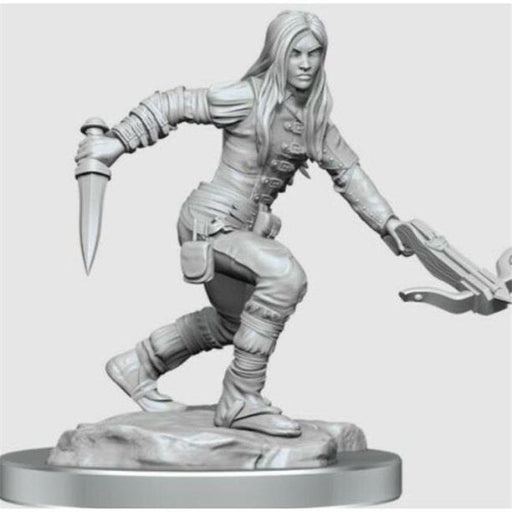 D&D Nolzur's Marvelous Miniatures: Half-Elf Rogue Female - for just $5.99! 