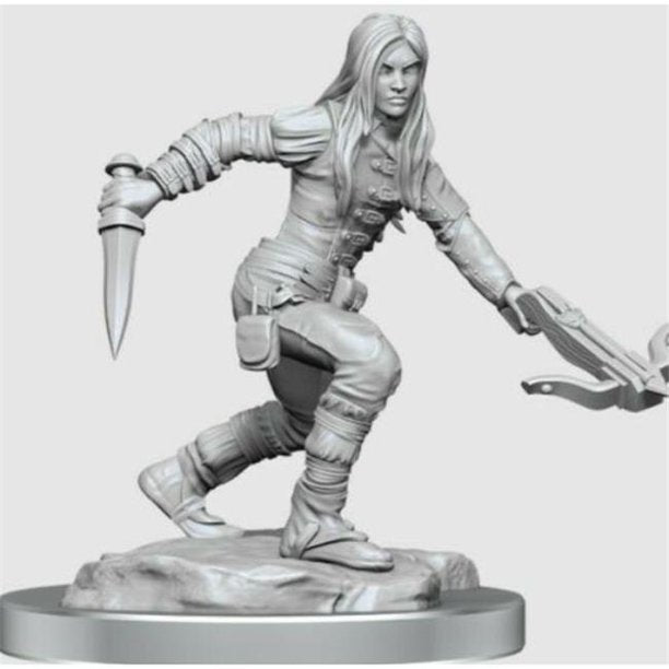 D&D Nolzur's Marvelous Miniatures: Half-Elf Rogue Female - for just $5.99! 