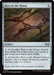 Keys to the House (DSK-251) - Duskmourn: House of Horror Foil - for just $0.04! 