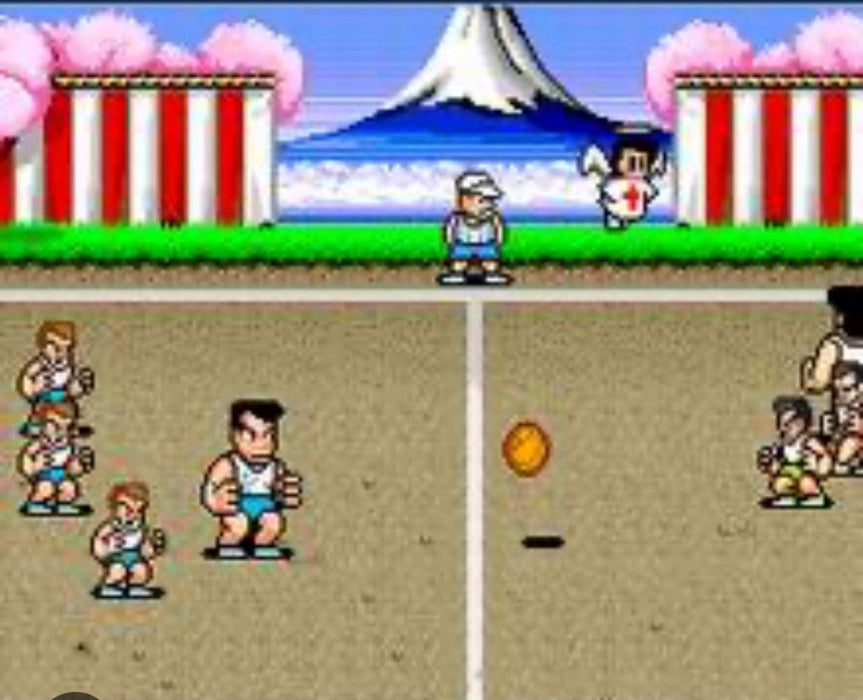 Super Dodge Ball – Nintendo Entertainment System (NES) - for just $16.99! 