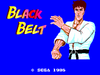 Black Belt – Sega Master System (SMS) - for just $9.99! 