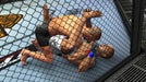 UFC 2009 Undisputed [Greatest Hits] – PlayStation 3 (PS3) - for just $0! 