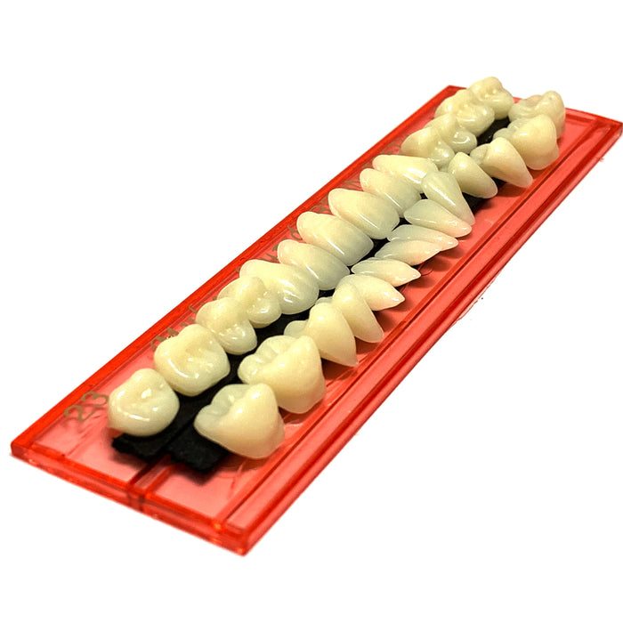 Professional Grade Fake Resin Teeth Set - 28 Pieces - for just $13! 