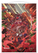 Ultra PRO: Wall Scroll - Japanese Mystical Archive (Stone Rain) - for just $0! 
