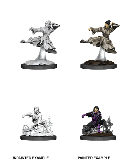 D&D: Nolzur's Marvelous Miniatures - Female Human Monk - for just $5.99! 