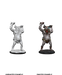 D&D: Nolzur's Marvelous Miniatures - Ettin - for just $9.99! 