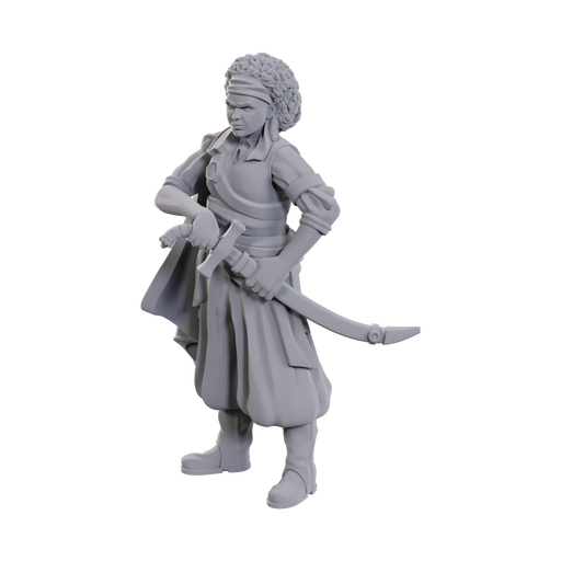 D&D: Nolzur's Marvelous Miniatures - Ansalon Human Rogue - for just $4.49! 