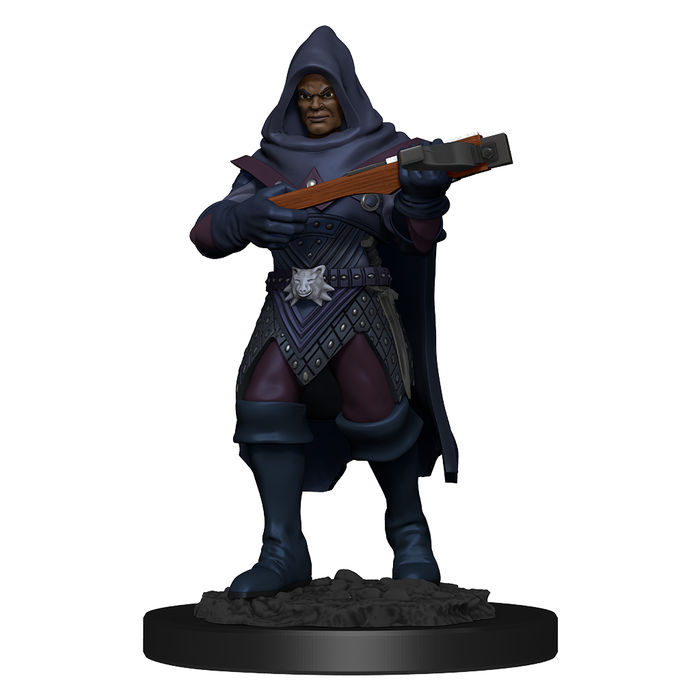 Pathfinder: Deep Cuts - Human Rogue Male - Just $5.99! Shop now at Retro Gaming of Denver