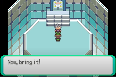 Pokémon Emerald Legacy – Game Boy Advance Reproduction - for just $29.99! 